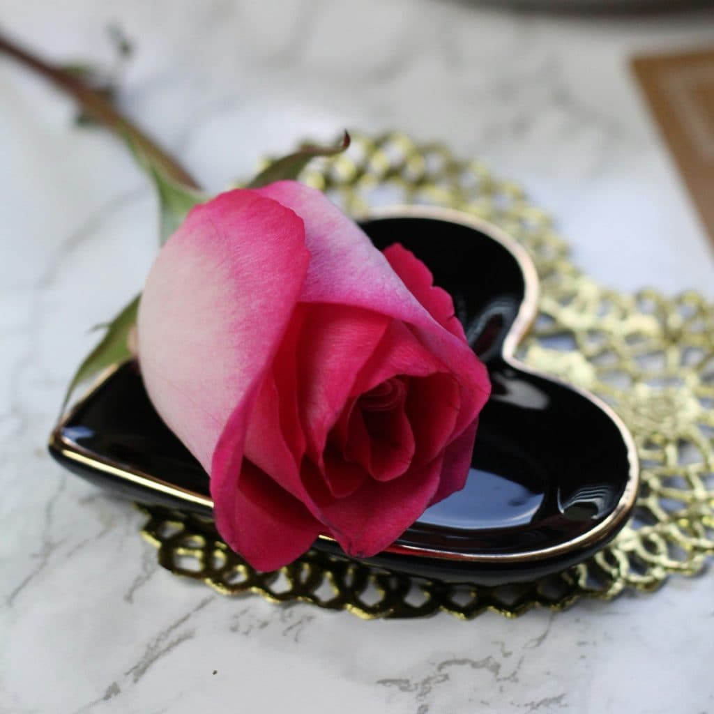 Cover Image for The Great Big Quiz – The Great Big Romantic One